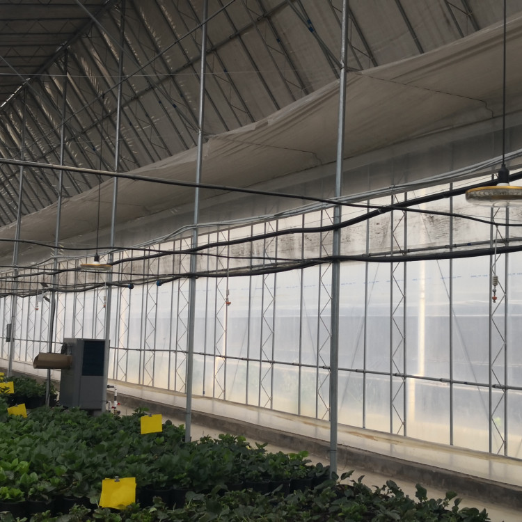 溫室大棚的好處